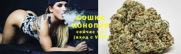 apvp Михайлов