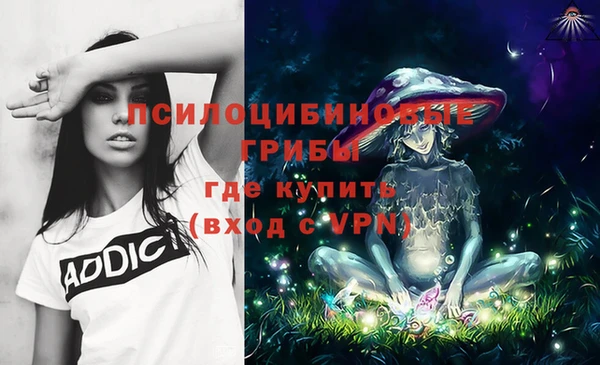 мяу мяу мука Михайловск