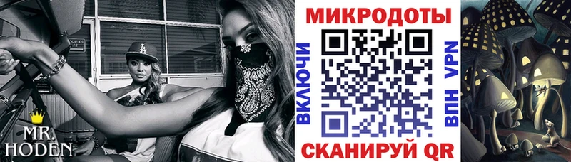 дарнет шоп Дорогобуж Галлюциногенные грибы мицелий